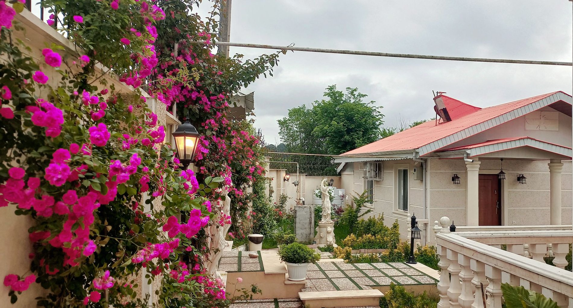 ویلا یک خوابه جنگلی پنج ستاره