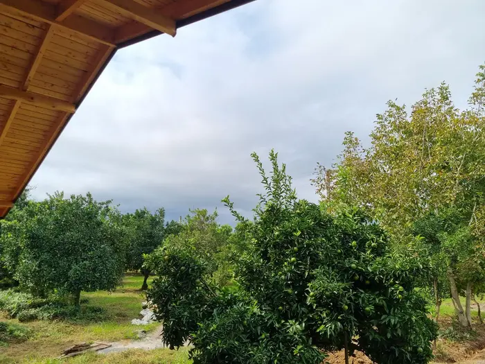 کلبه دوخوابه می جانِ یار - منظره تیلار