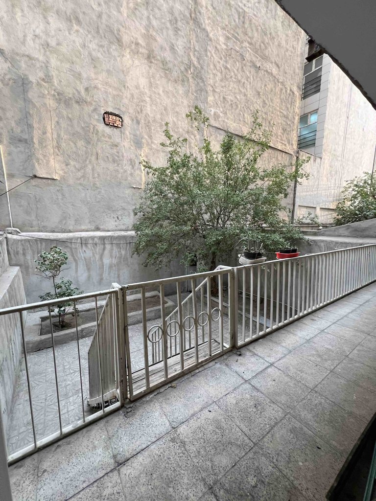 یک خوابه مروارید 24