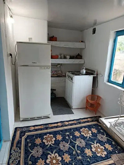 بومگردی نرگس بانو - واحد گل همکف