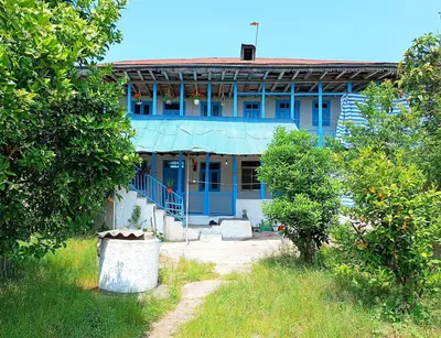 بومگردی نرگس بانو - واحد گل همکف