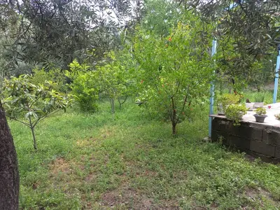 ویلا یک خوابه نوجو