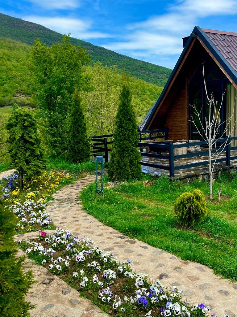 کلبه یک خوابه سوئیسی جکوزی دار جنگلی آرامش