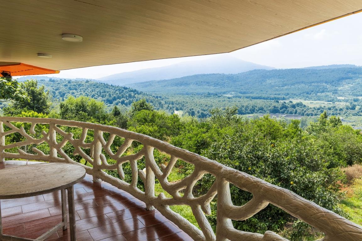 یک خوابه جنگلی آسمان واحد طبیعت