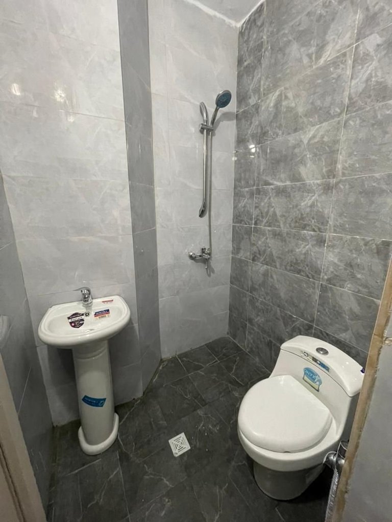 فلت طوس استادمعین 1