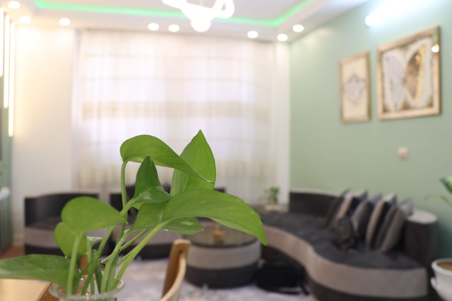 دوخوابه سعدی 9