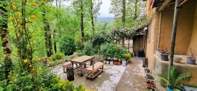 سوئیت فلت سنتی ساعی