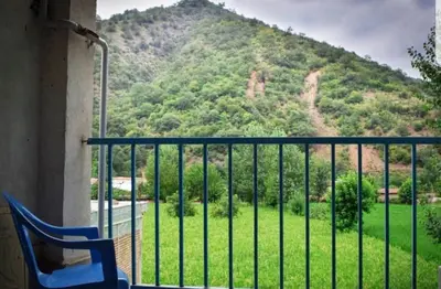 سوئیت فلت جنگلی خورشید