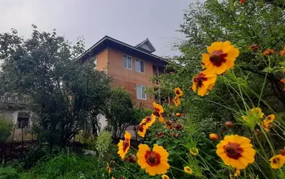 کلبه دوخوابه جنگلی چوبی پارسا ۴