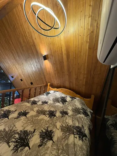 کلبه یک خوابه سوئیسی هیون