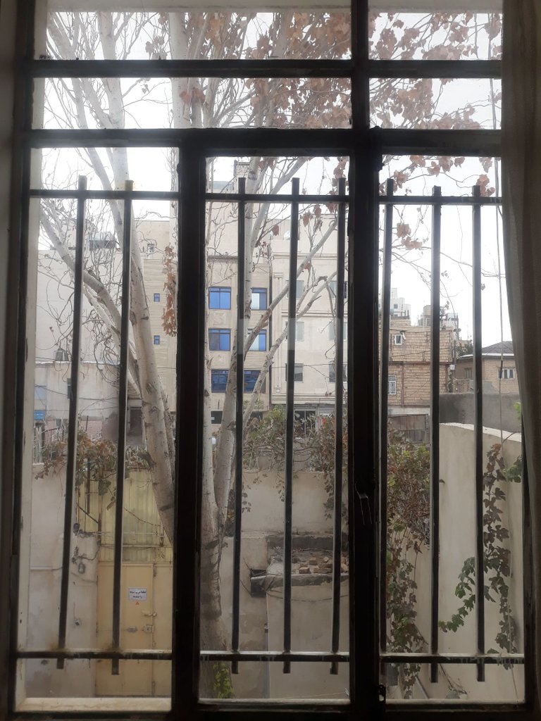 اجاره روزانه آپارتمان یک خوابه انوشیروانی مشهد