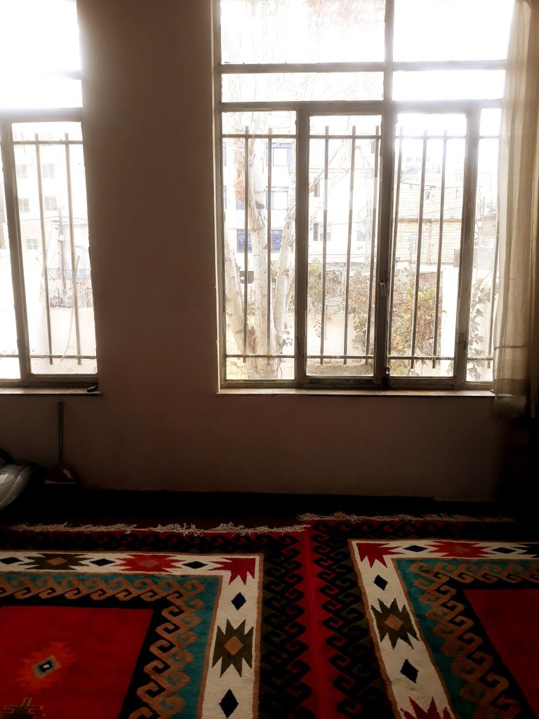 اجاره روزانه آپارتمان یک خوابه انوشیروانی مشهد