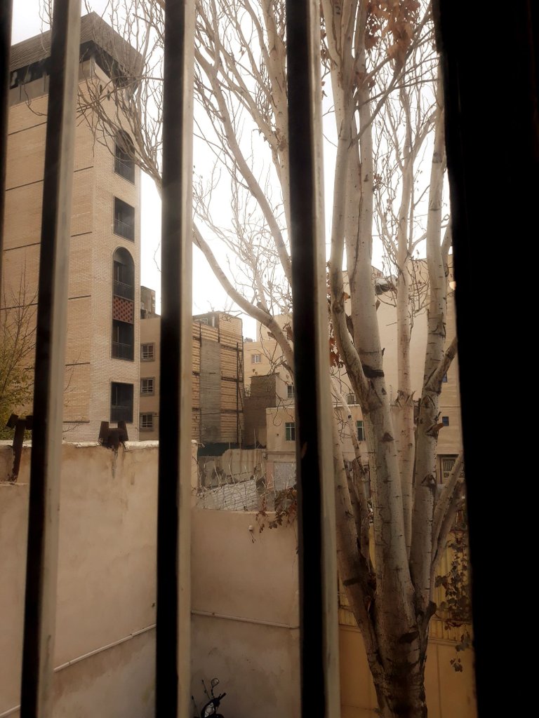 اجاره روزانه آپارتمان یک خوابه انوشیروانی مشهد