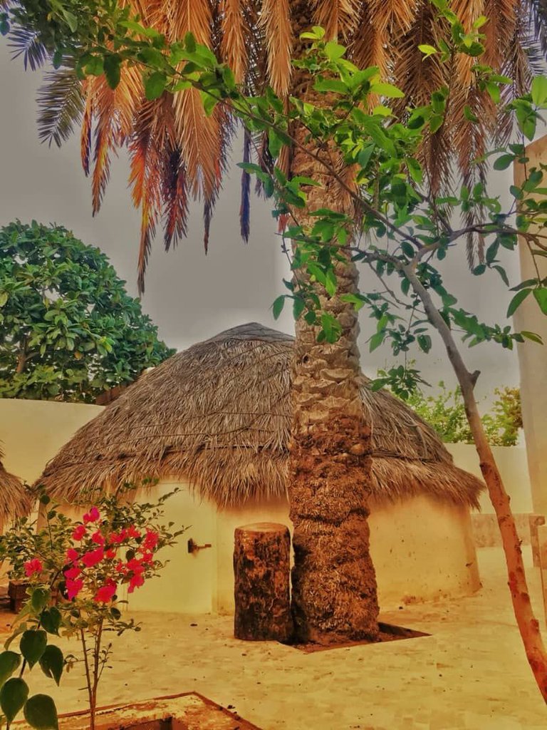 دنج - واحد ساحل رنگی