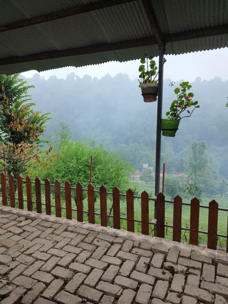 دامون تلار - واحد کاج