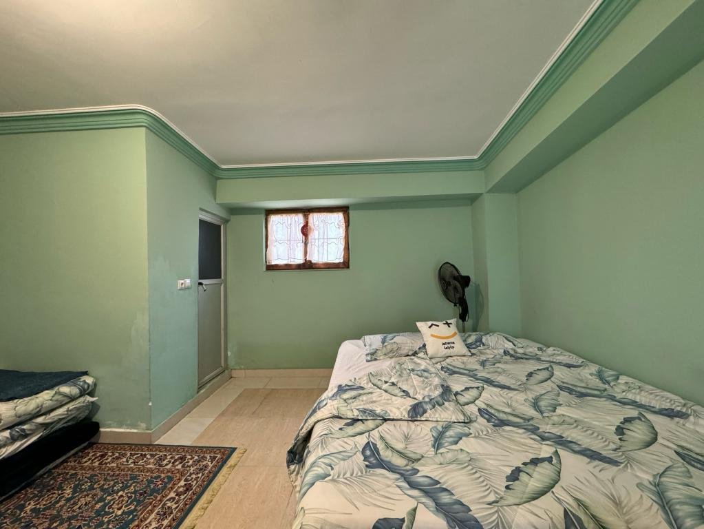 شالیزار - واحد 2