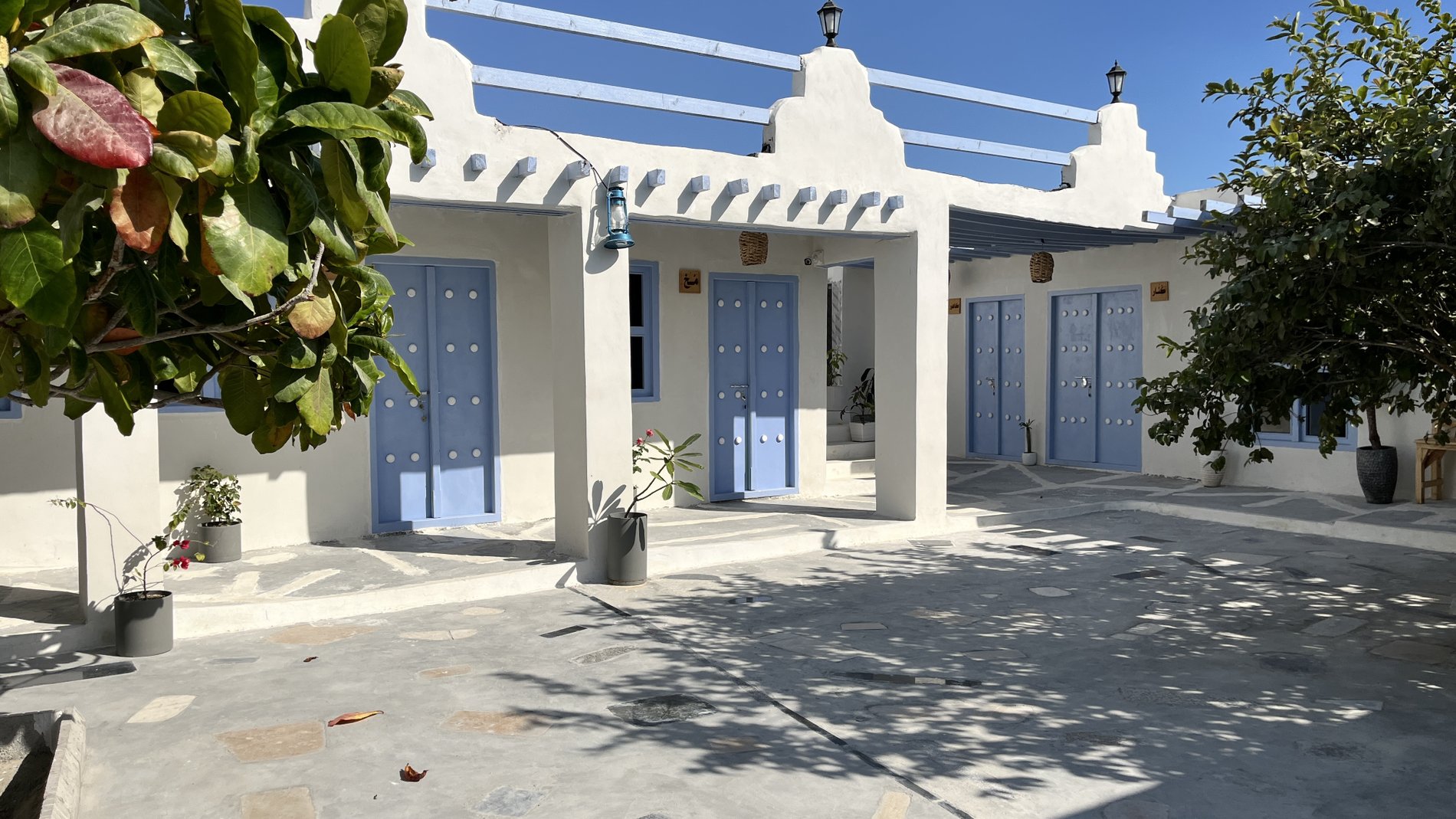 گل ابریشم - واحد مُغ