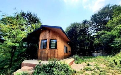 کلبه یک خوابه جنگلی نورا