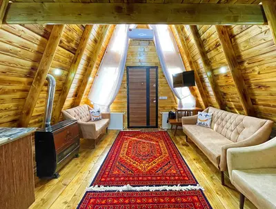 کلبه یک خوابه سوئیسی جکوزی دار آرتاویل