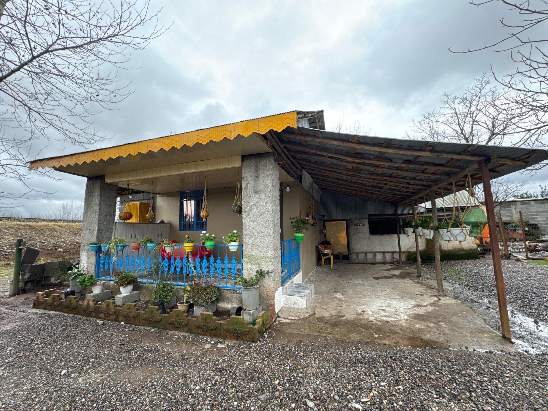 چی چینی - واحد فلت