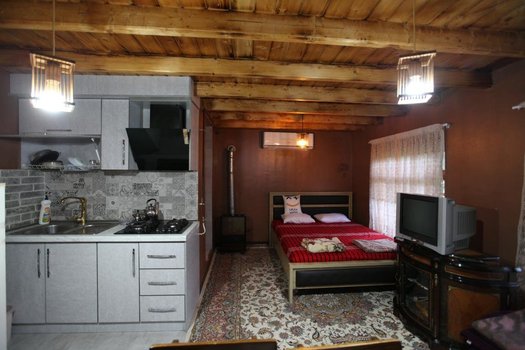 ویلا یک خوابه چوبی شادی