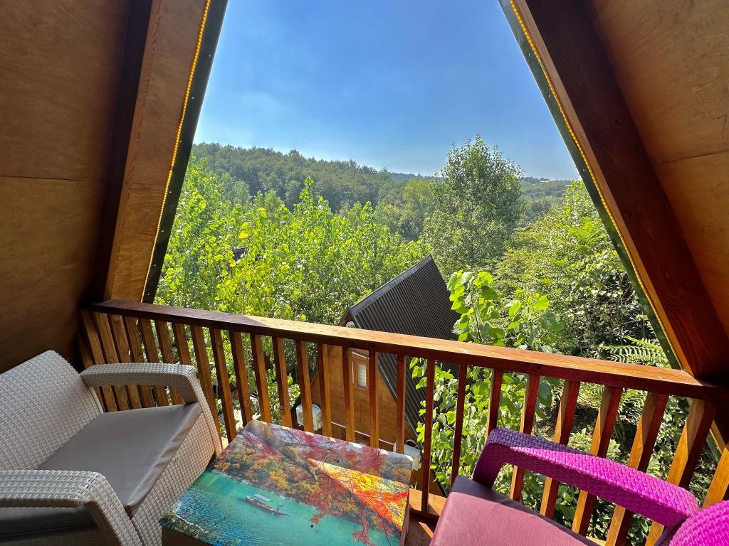 بامبو - واحد ۱