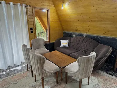 کلبه یک خوابه سوئیسی جکوزی دار ماندگار