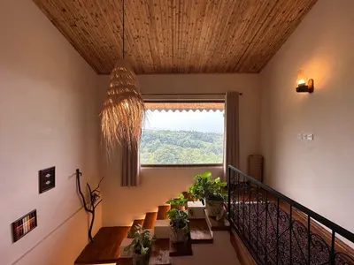 اقامتگاه سنتی استارسو - واحد عمارت درختان تيردار