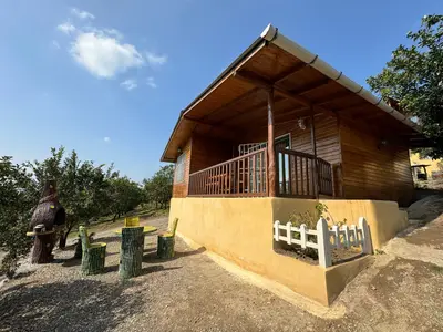 کلبه یک خوابه جنگلی اتر