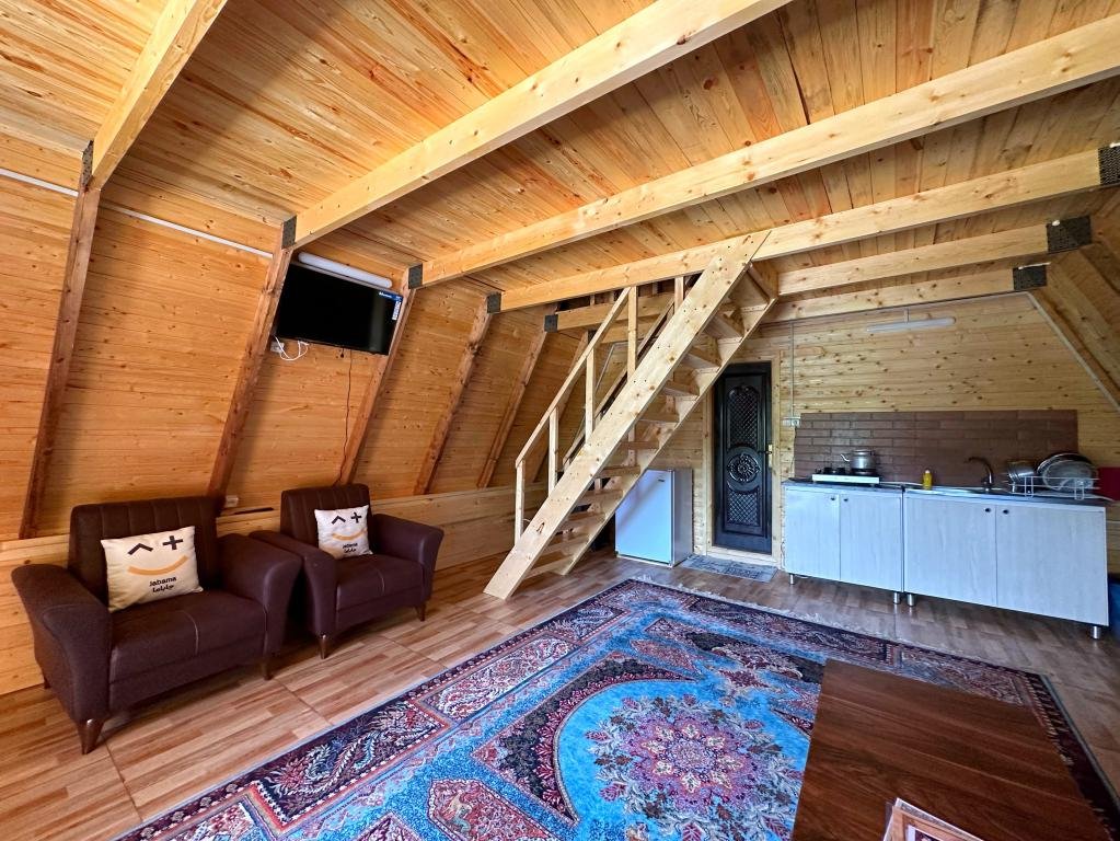 کلبه یک خوابه سوئیسی برکه2