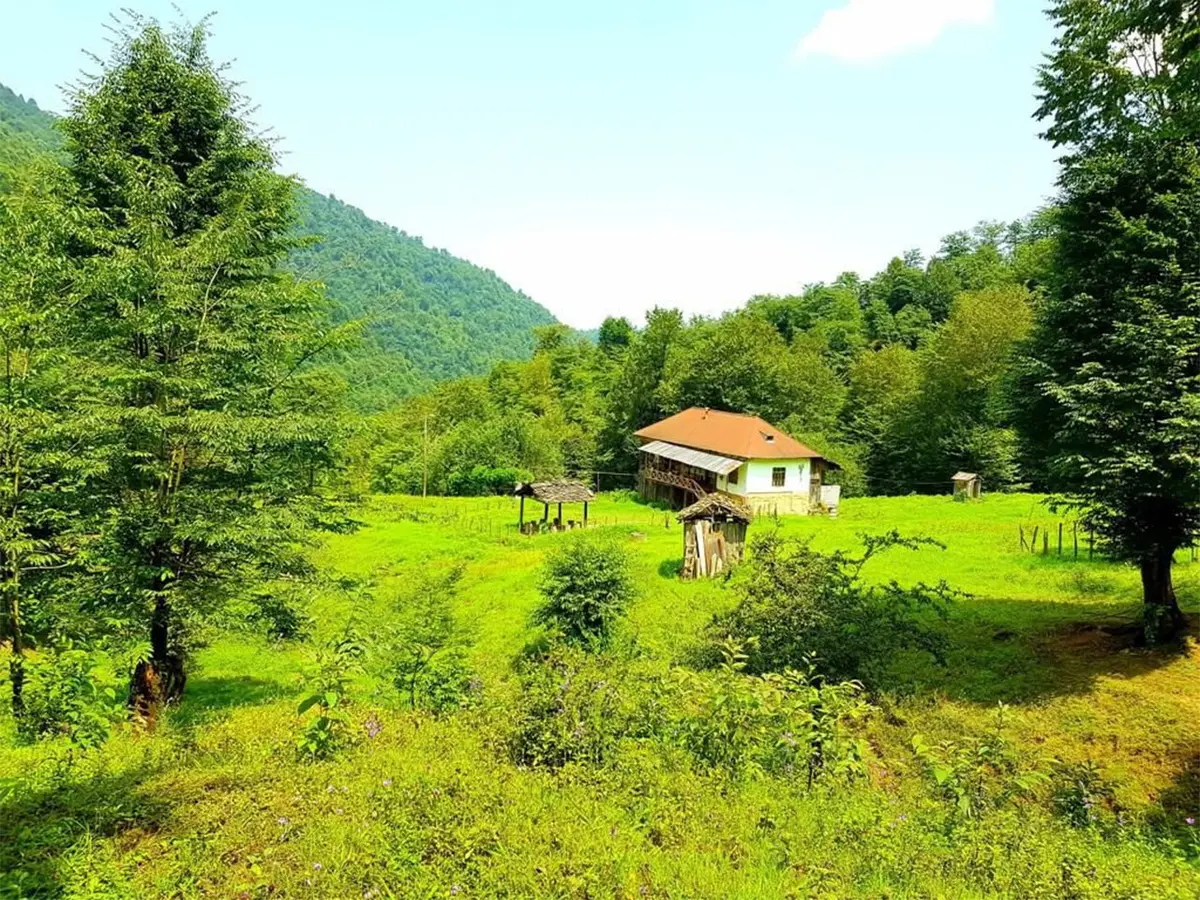 کلبه دوخوابه آریا سوادکوه