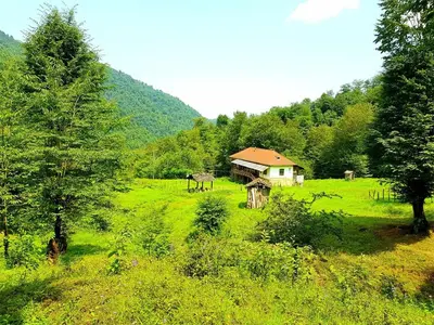 کلبه دوخوابه آریا سوادکوه