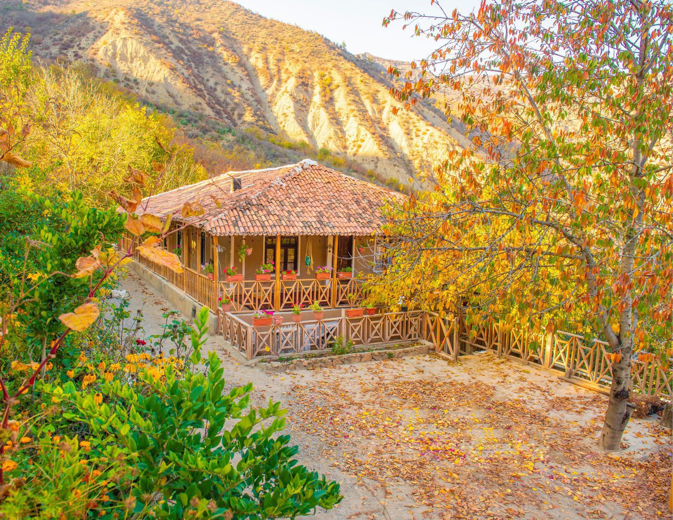 بومگردی سرونوش - واحد نارنجی