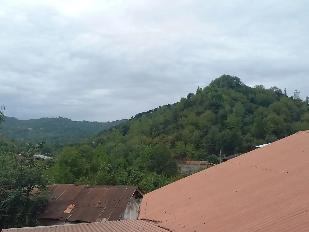 دوخوابه جنگلی مهر 7