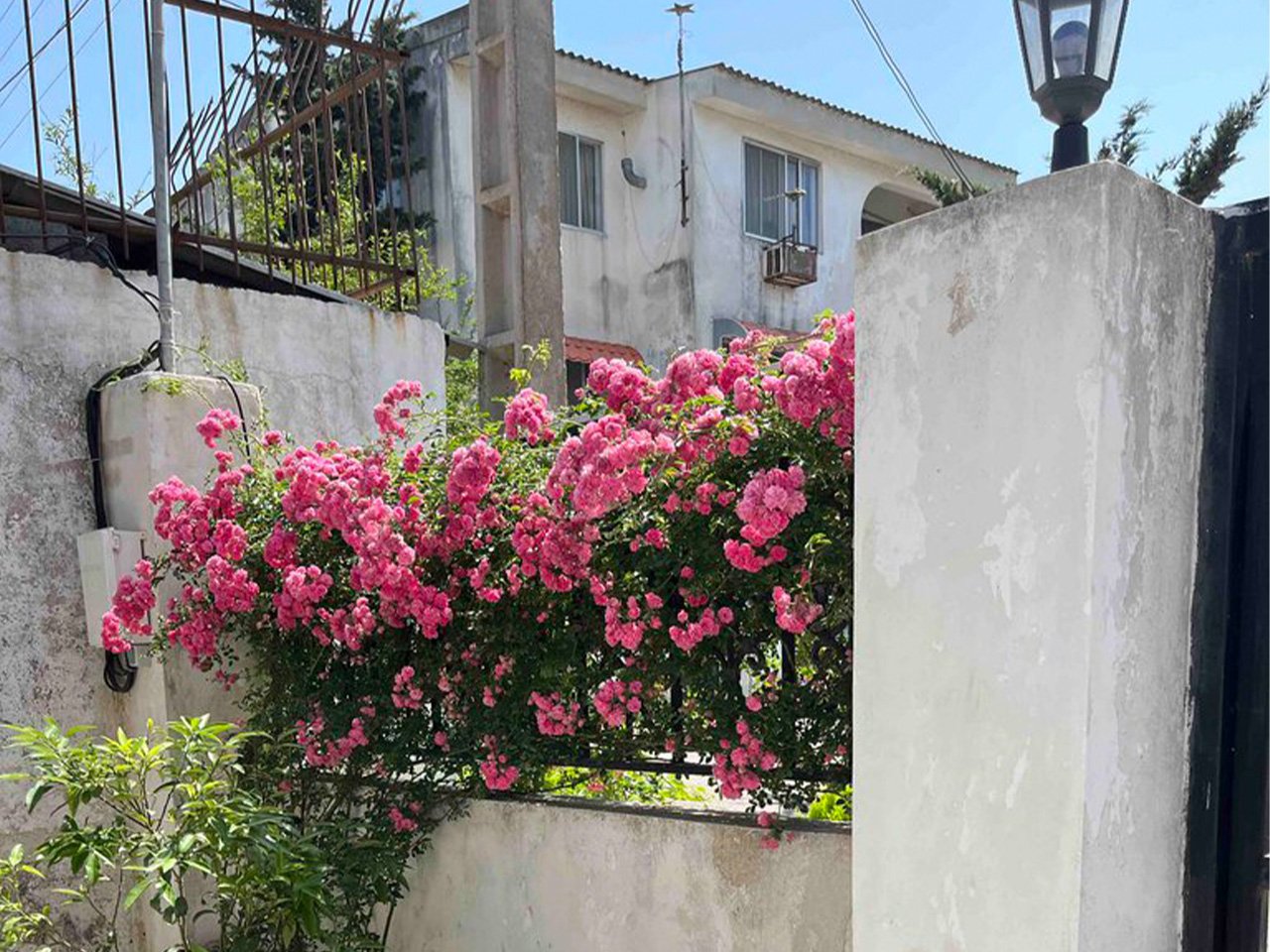 یک خوابه ساحلی کامیاب