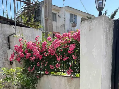 ویلا یک خوابه ساحلی کامیاب