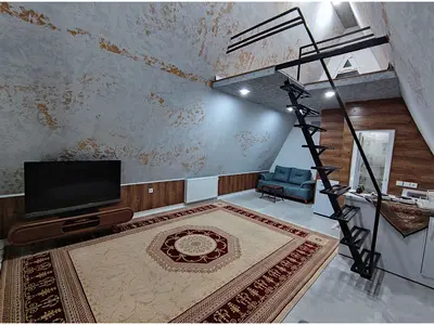 کلبه یک خوابه سوئیسی فرخی