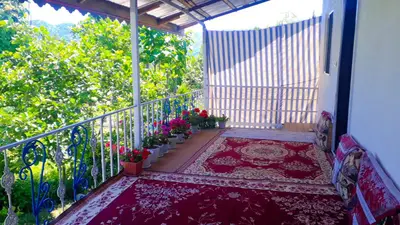 سوئیت فلت رزبان