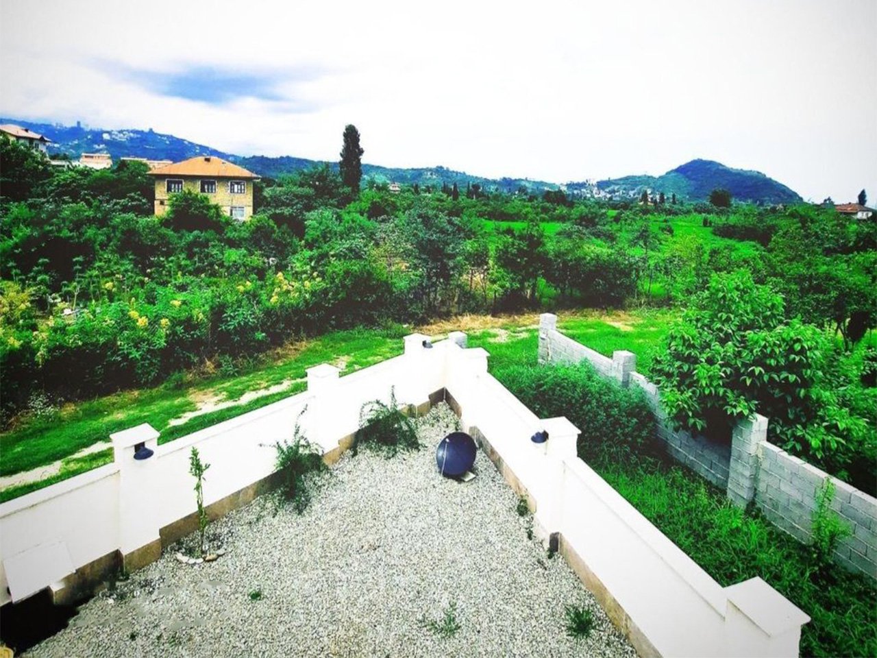 دوخوابه جنگلی ایساتیس