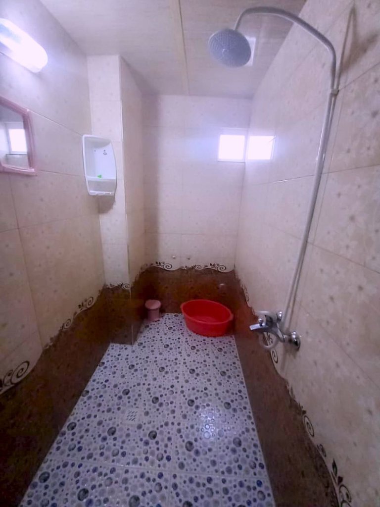 دوخوابه داودی