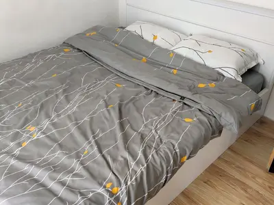 ویلا دوخوابه شالی منطقه آزاد