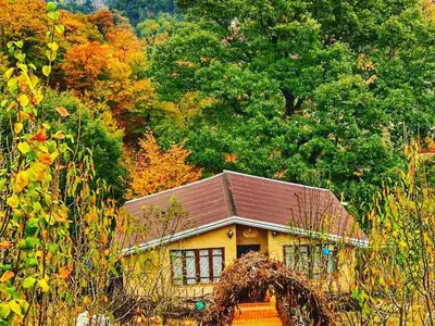 ویلا دوخوابه جنگلی وارش 2