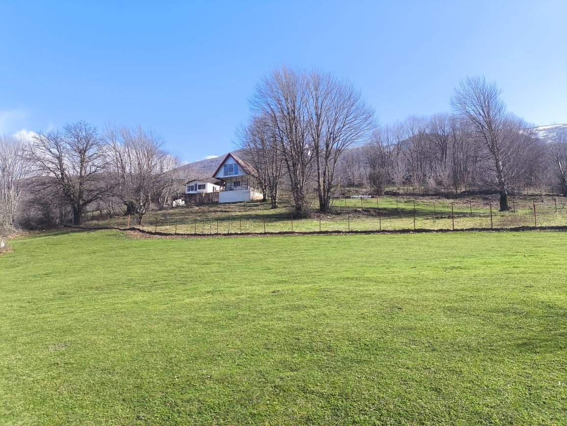 کلبه یک خوابه جنگلی فرهاد