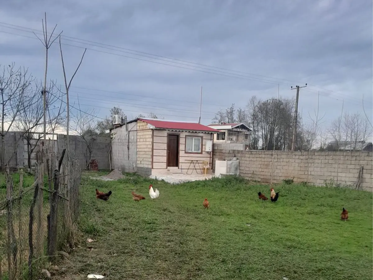 سوئیت یک خوابه ققنوس - ۷۰۰مترمحوطه وحیاط خلوت