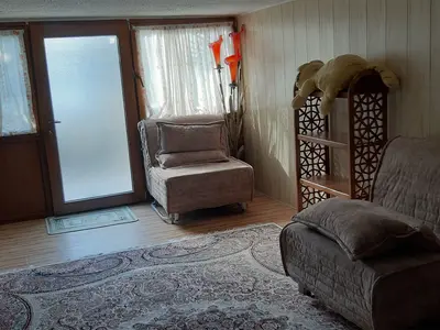 سوئیت فلت جنگلی آمال