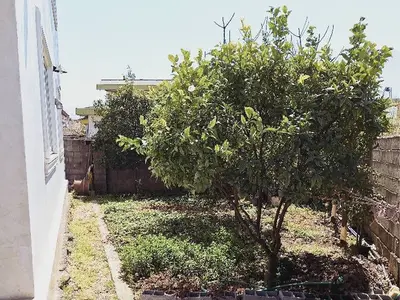 سوئیت فلت عباسی 8