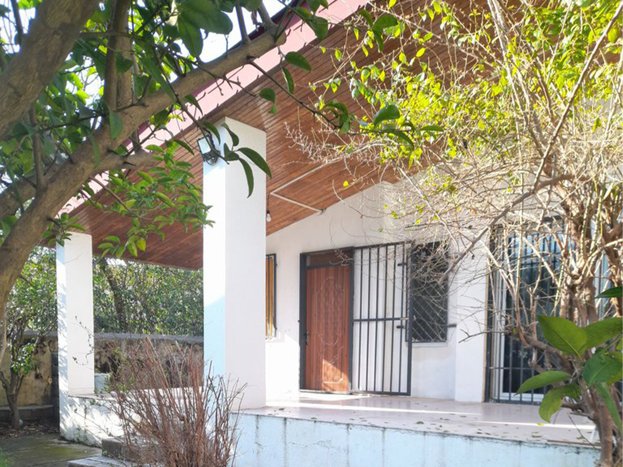 سوئیت سوئیت در کلبه شکار نمک آبرود