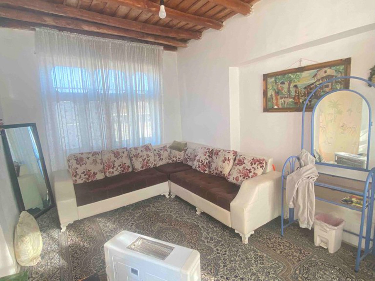 فلت جنگلی رودباردشت