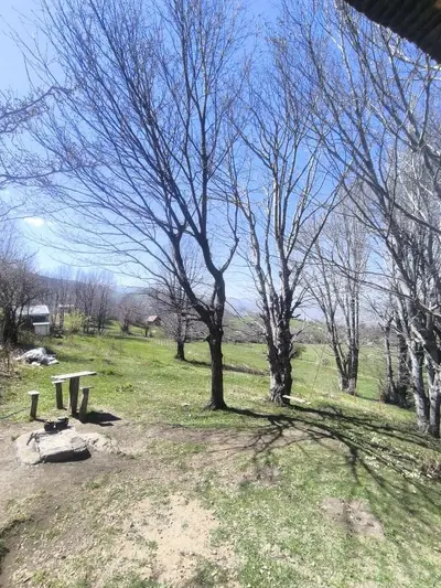 کلبه یک خوابه جنگلی فرهاد