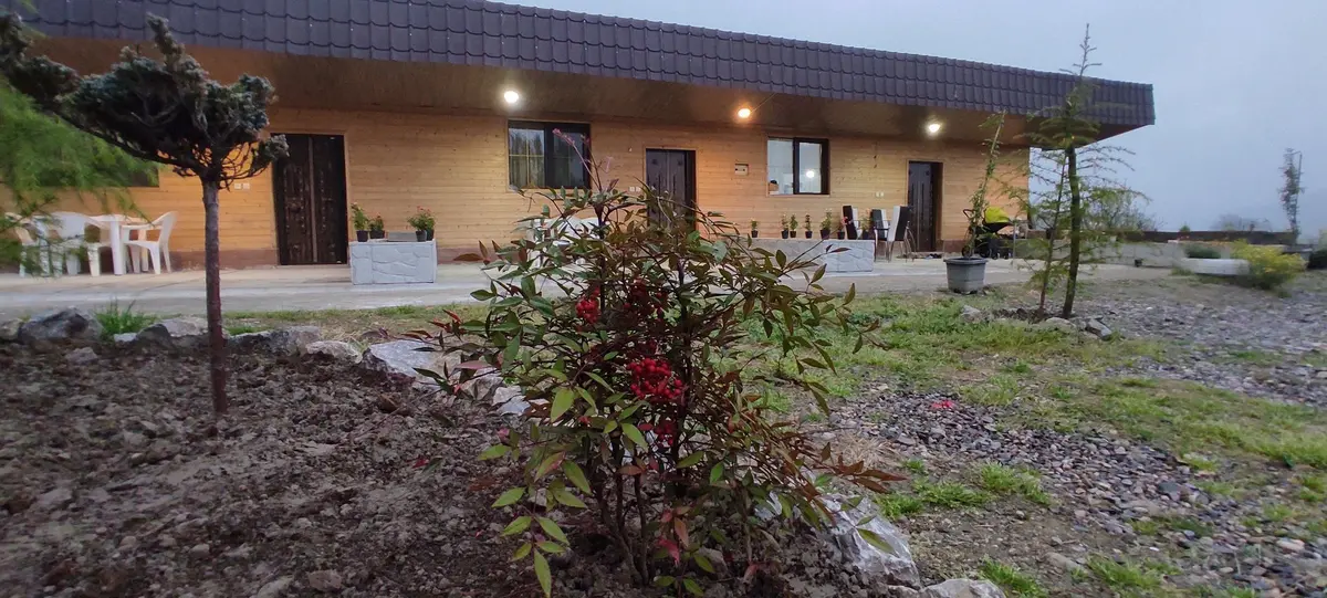 ویلا یک خوابه جنگلی آرامش 2